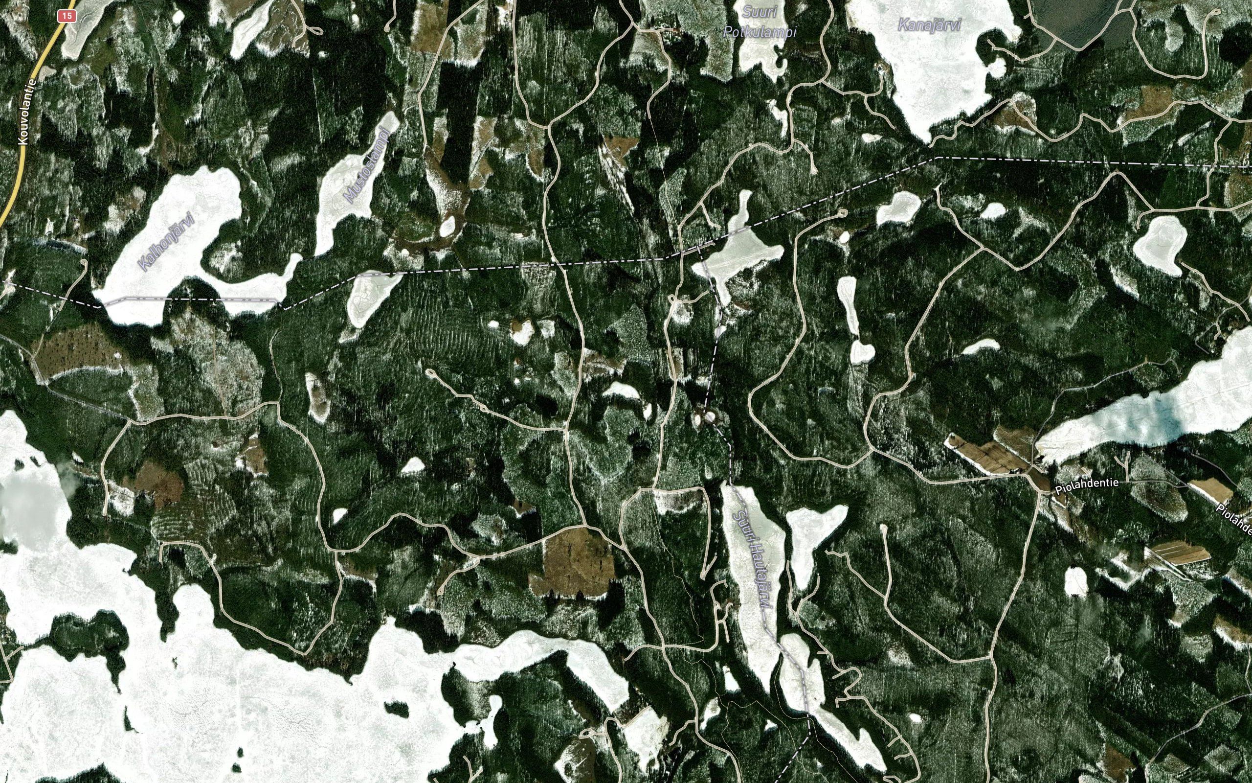 Salmilammit