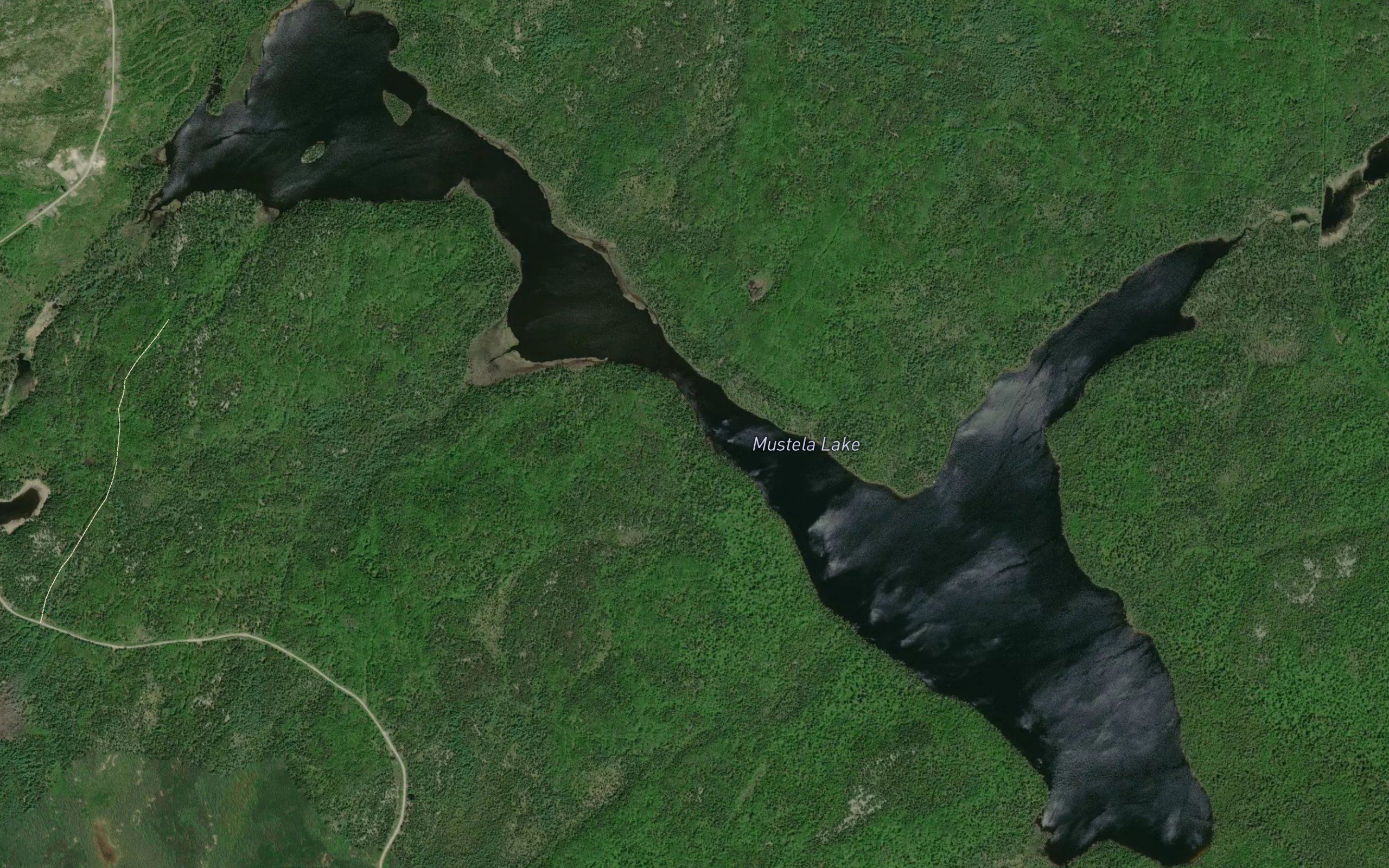 Mustela Lake