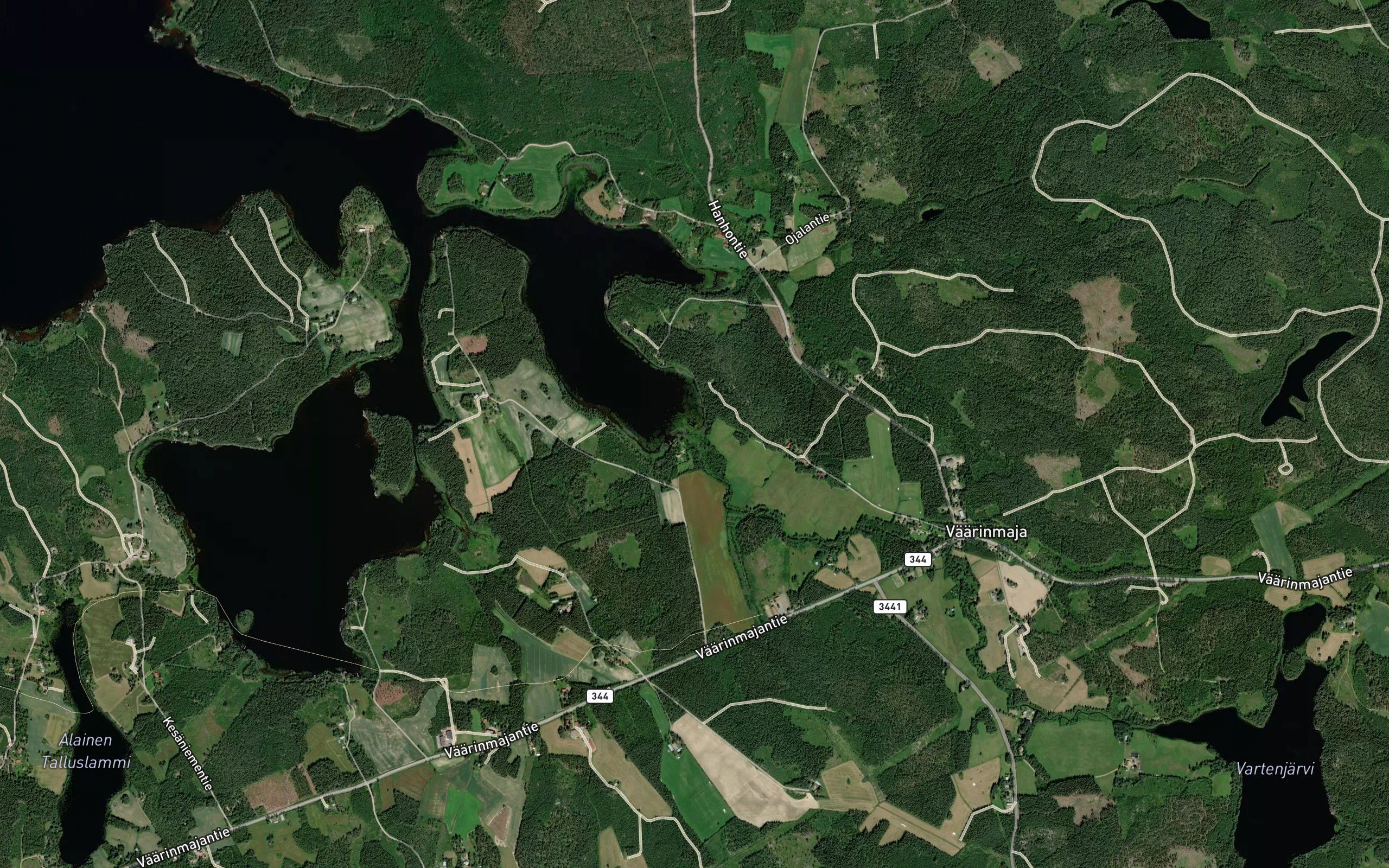 Enonjoki