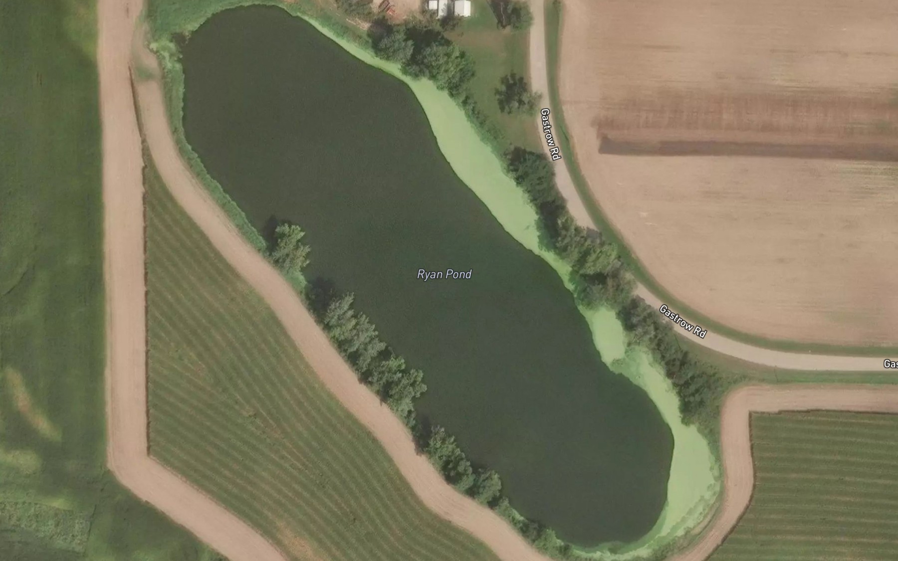 Satellite map of the Ryan Pond