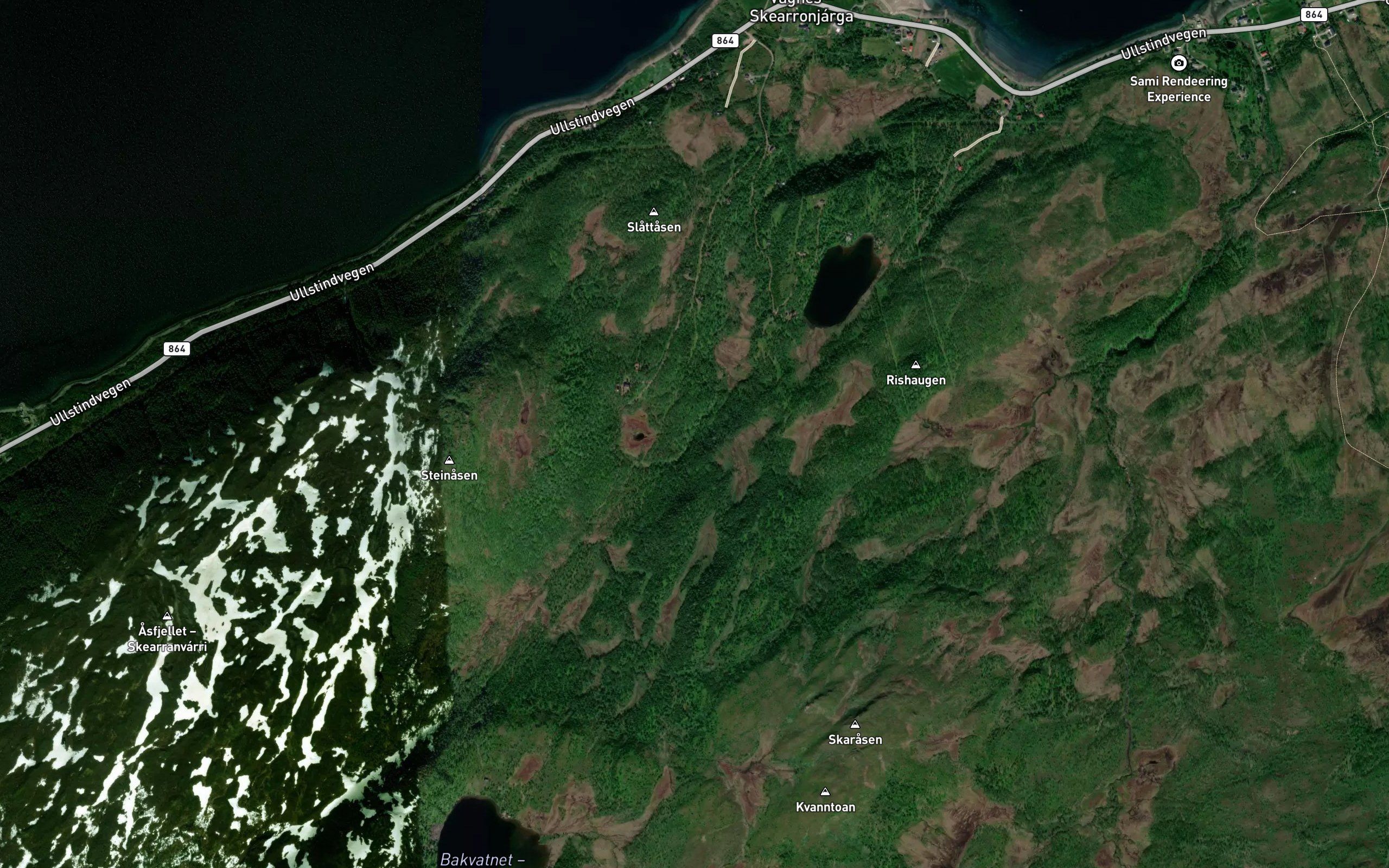 Vagneselva