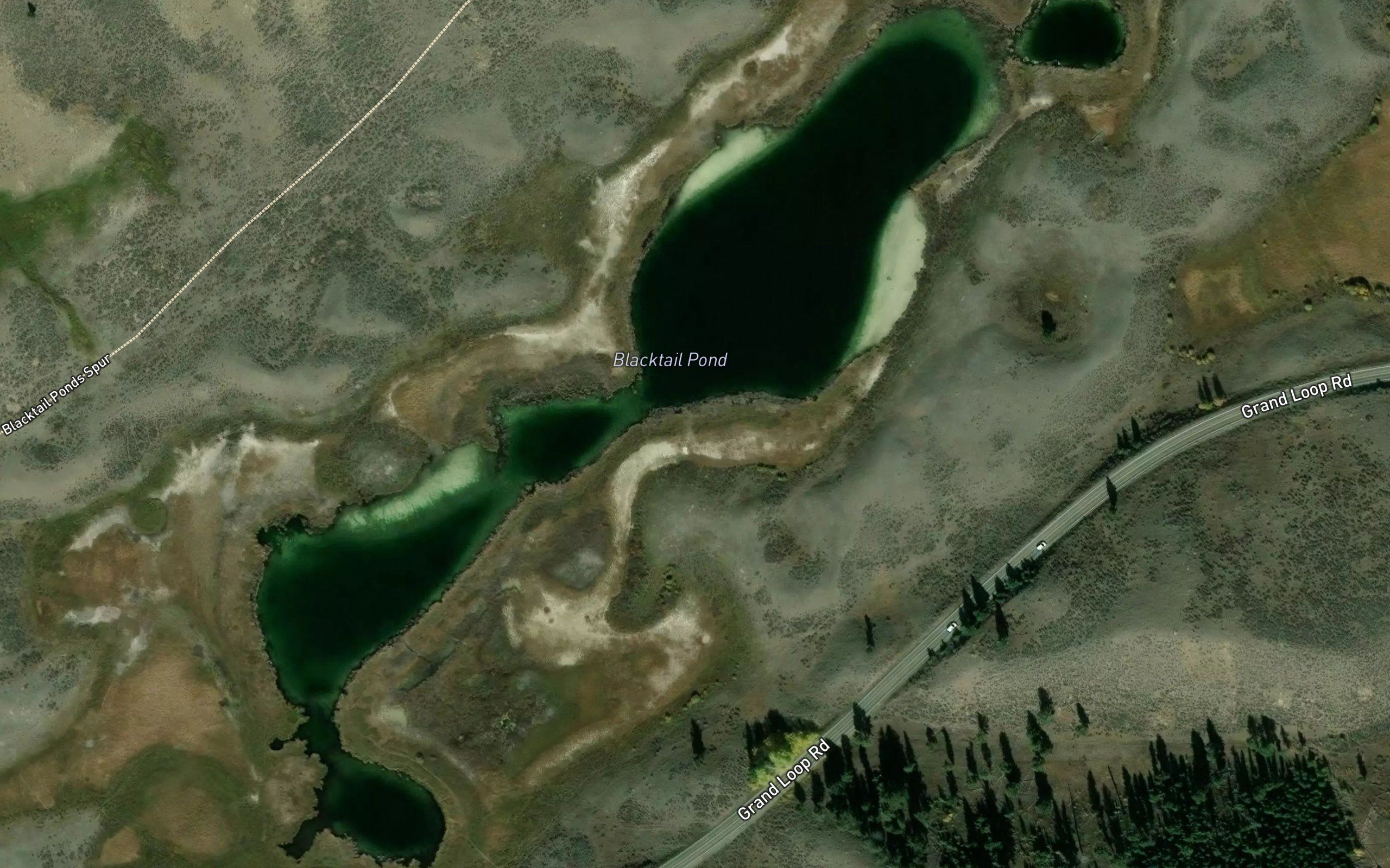 Blacktail Pond
