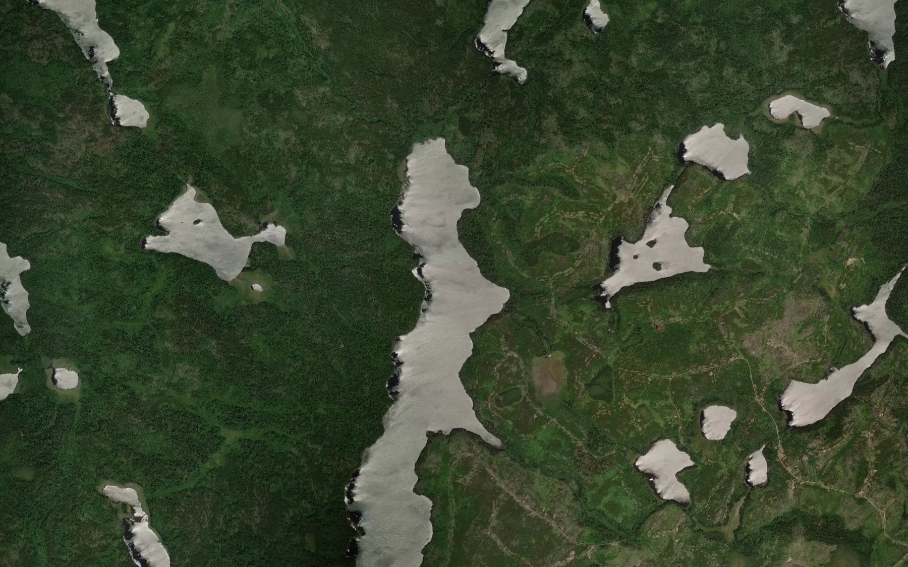 Satellite map of the Reddit Creek
