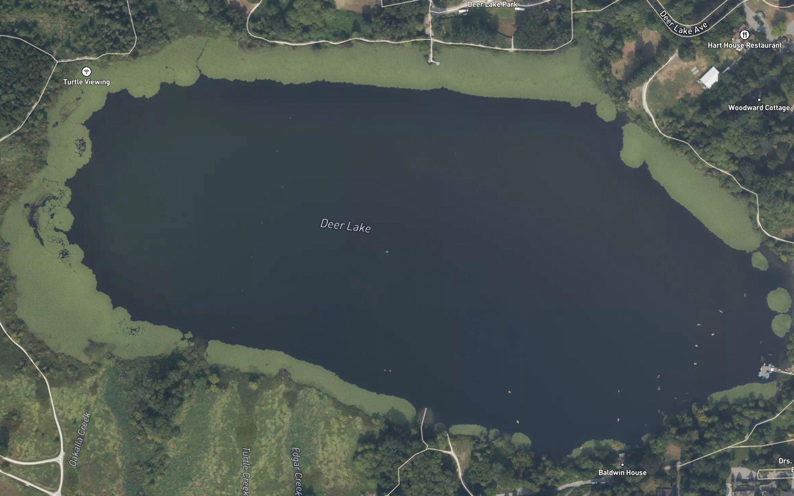 Deer Lake