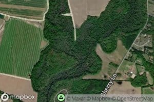 Mason Branch