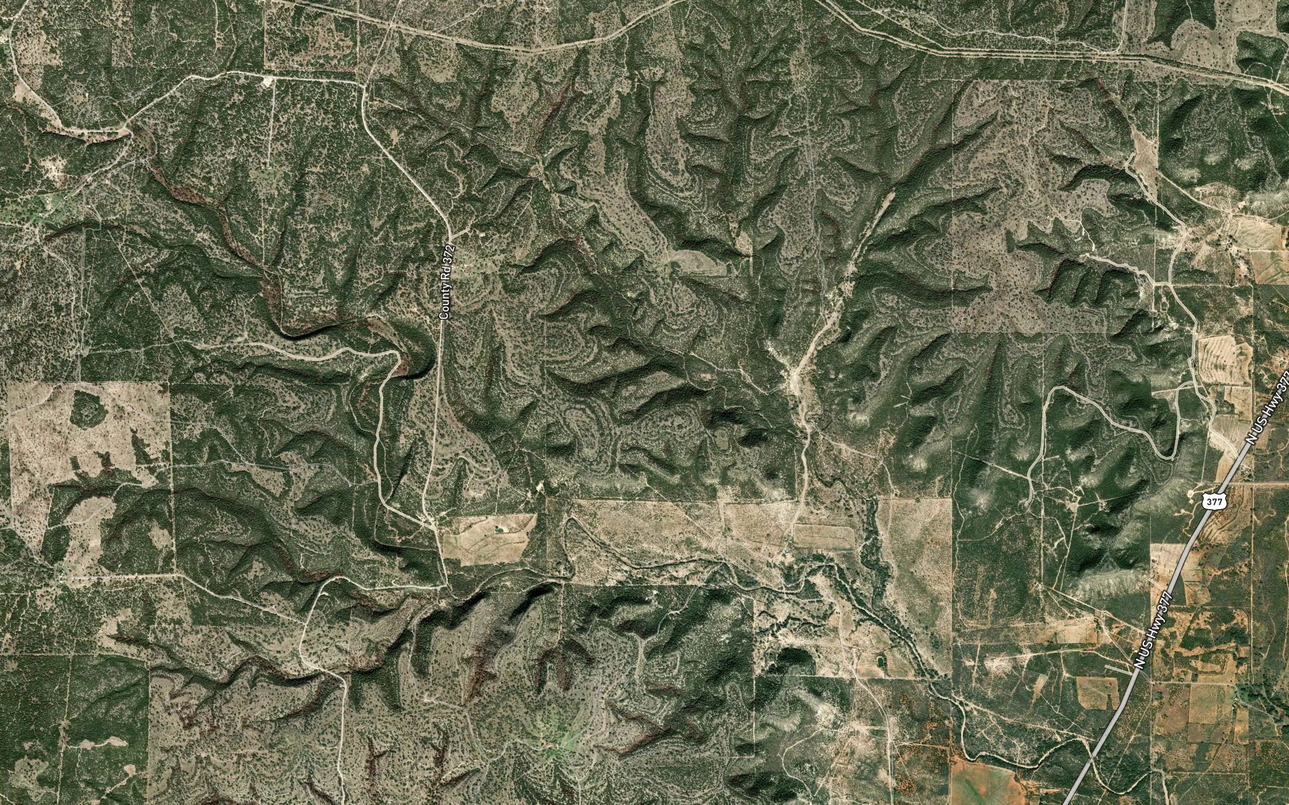 Scott Springs