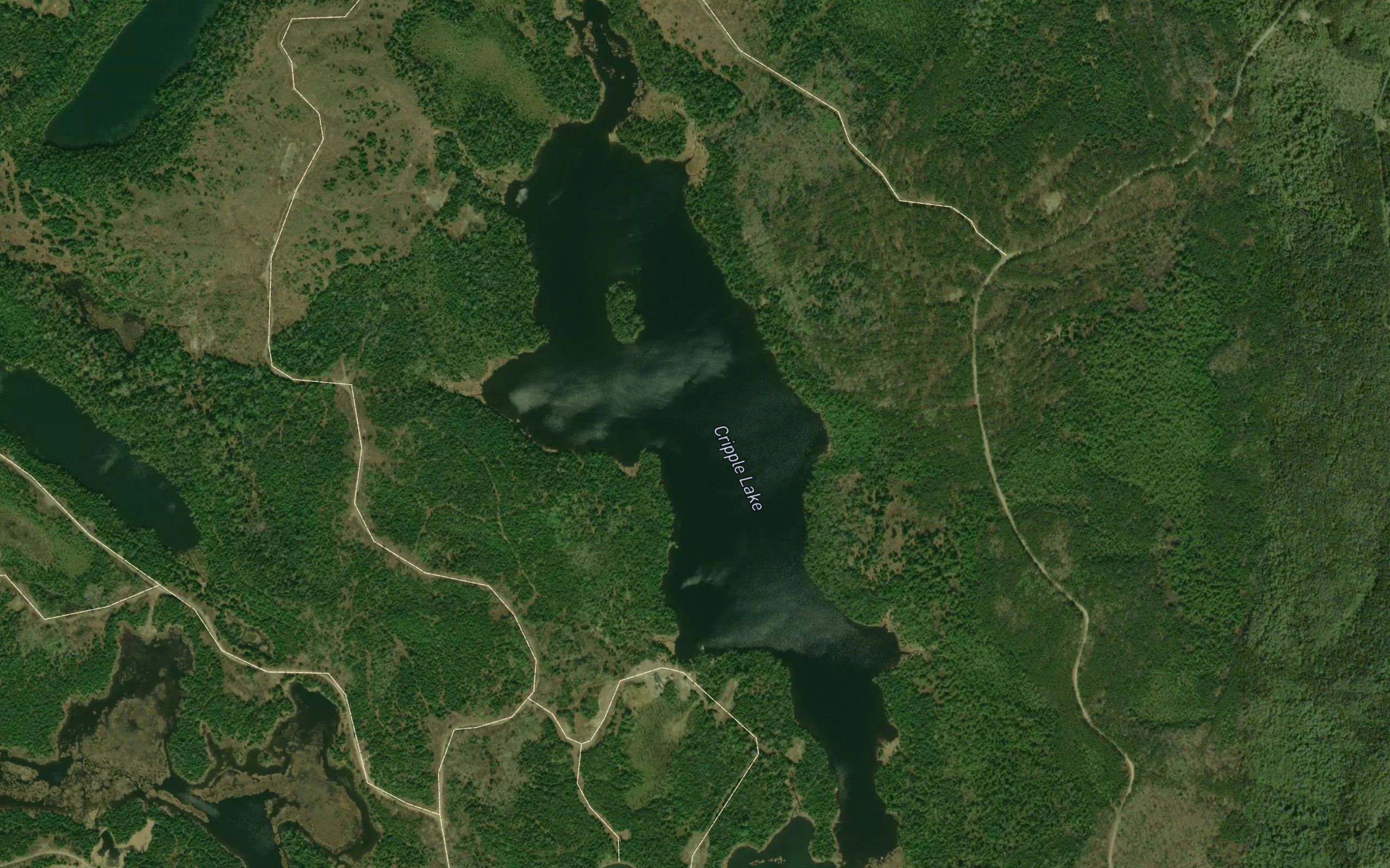 Cripple Lake