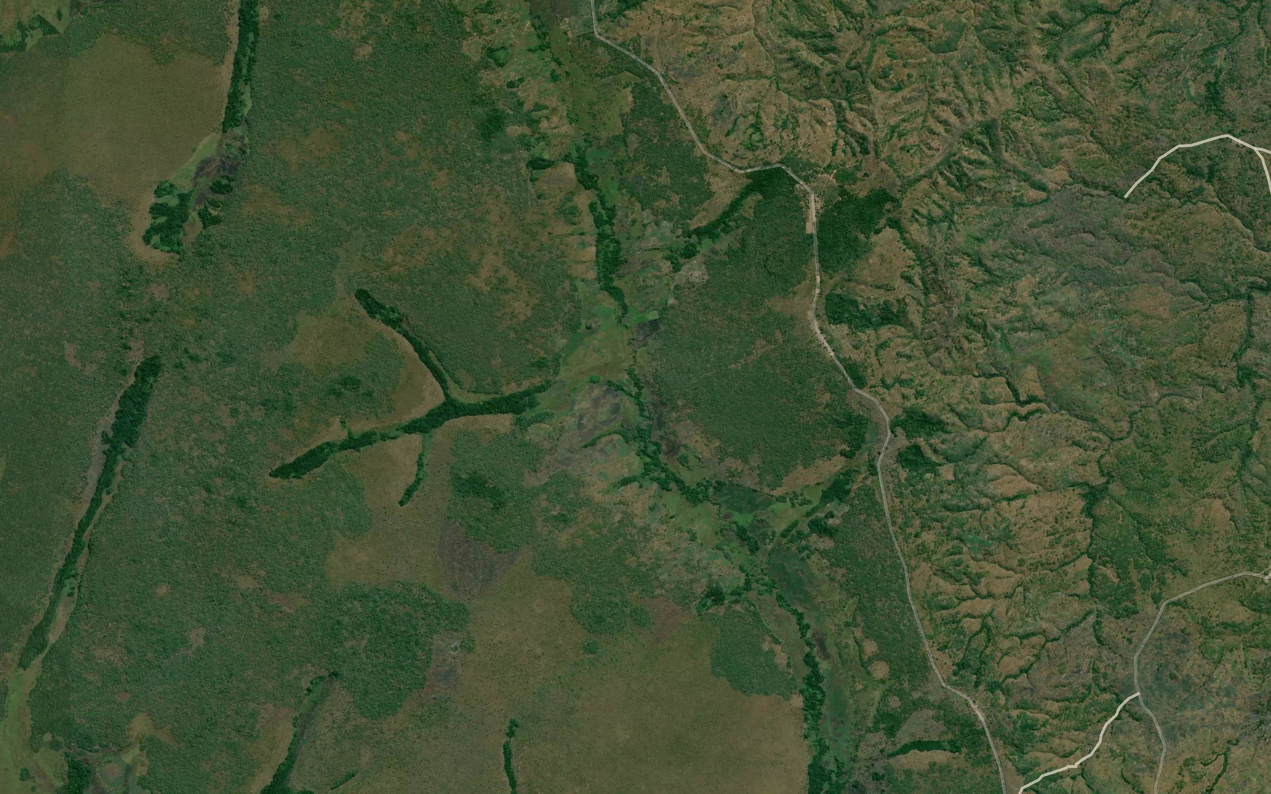 Ngola
