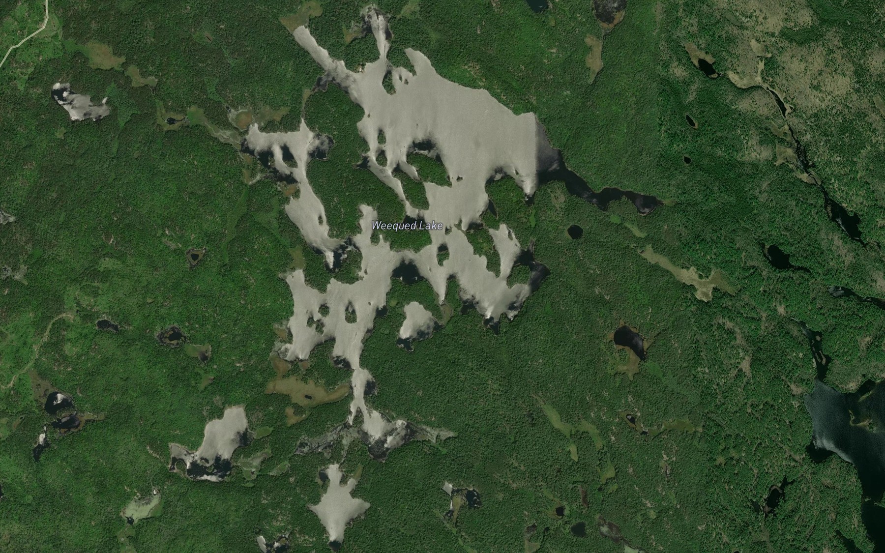 Satellite map of the Weequed Lake