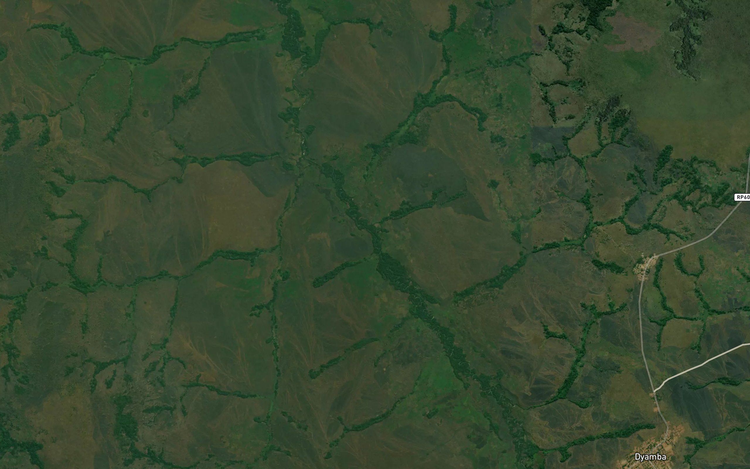 Kisangu