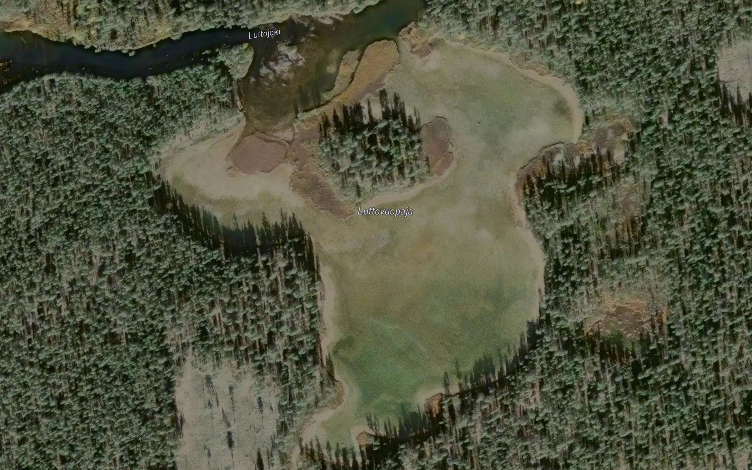 Luttovuopaja