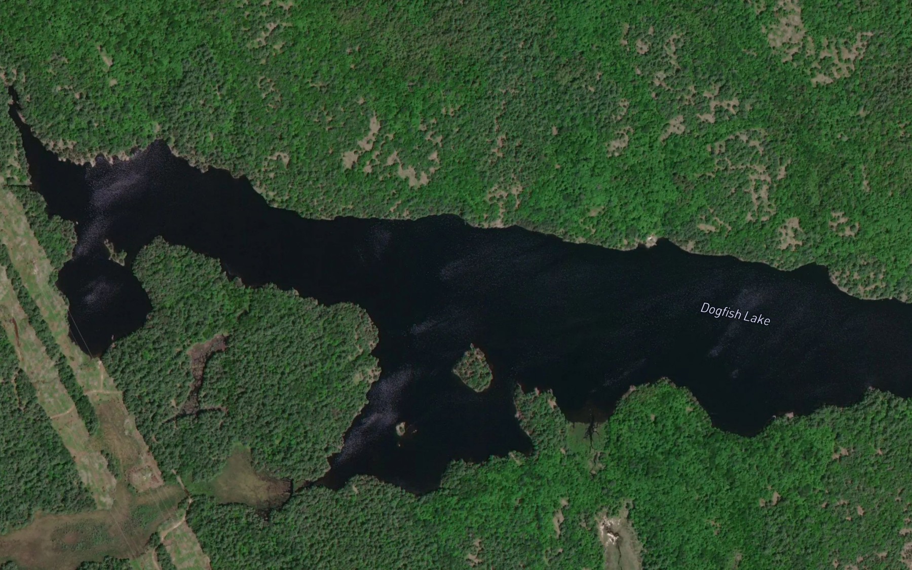 Satellite map of the Dogfish Lake