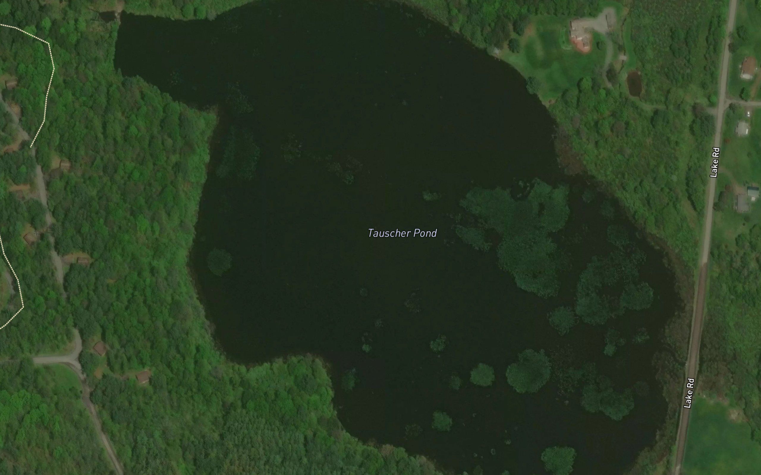 Tauscher Pond