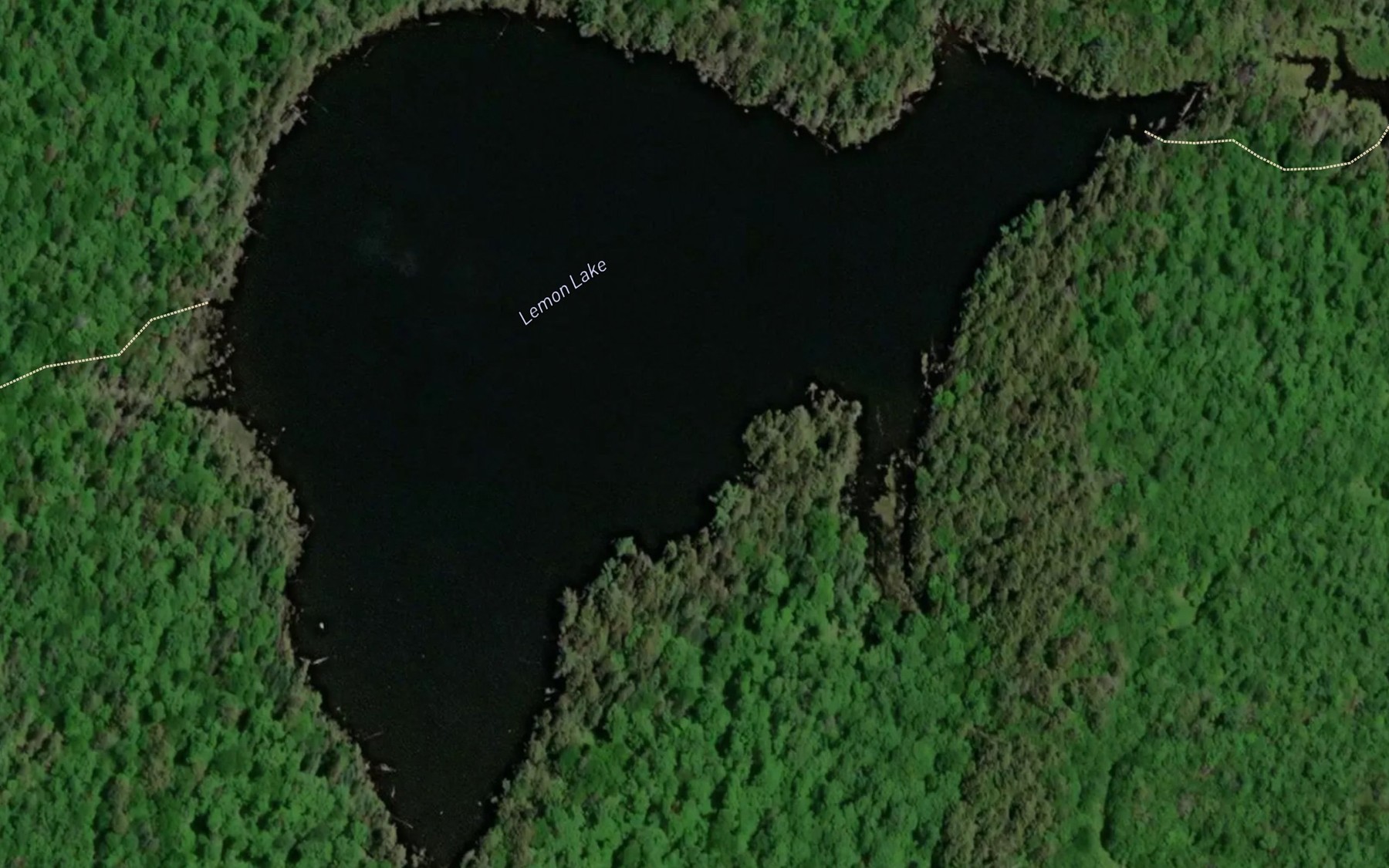 Satellite map of the Lemon Lake
