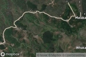 Irimangimangi Stream