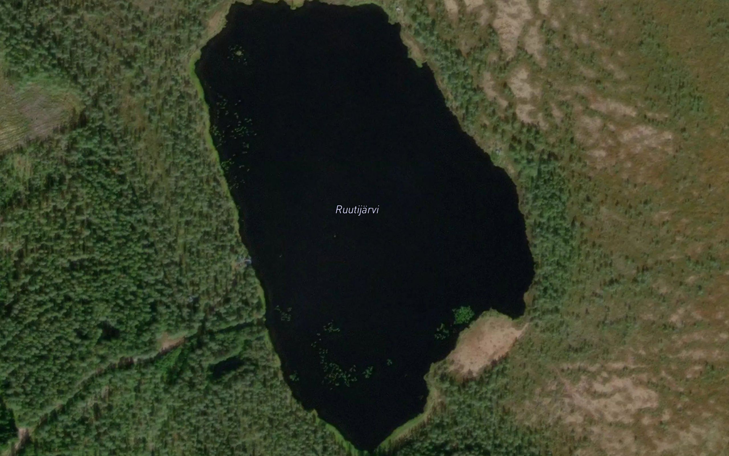 Ruutijarvi
