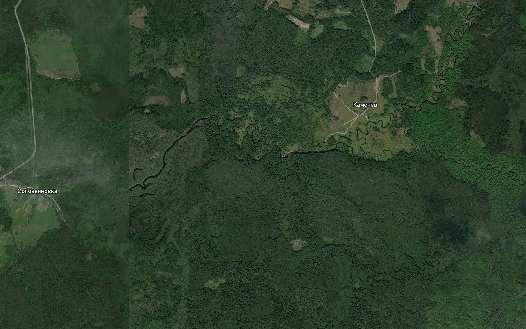 Satellite map of the Nevizhka