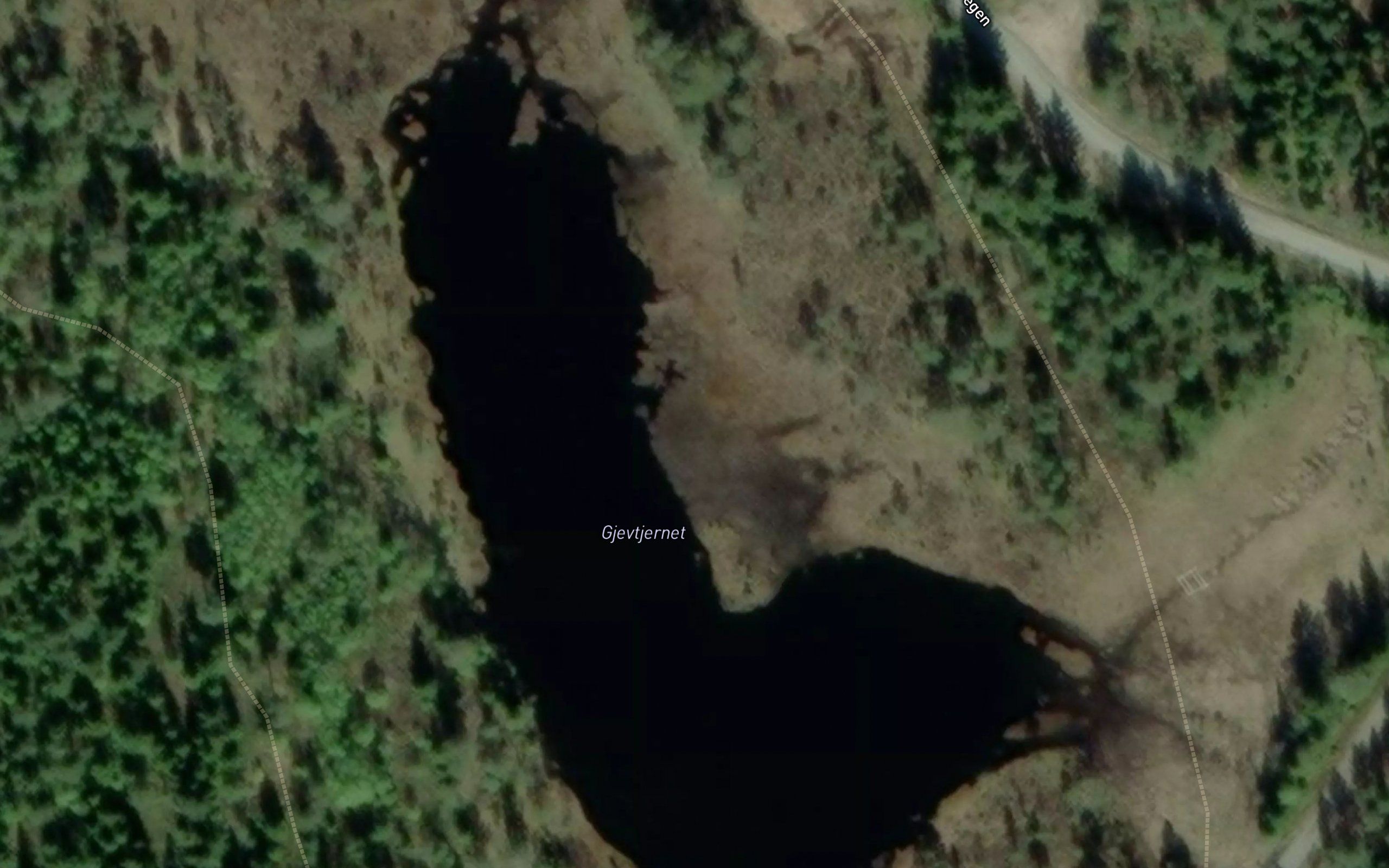 Gjevtjernet