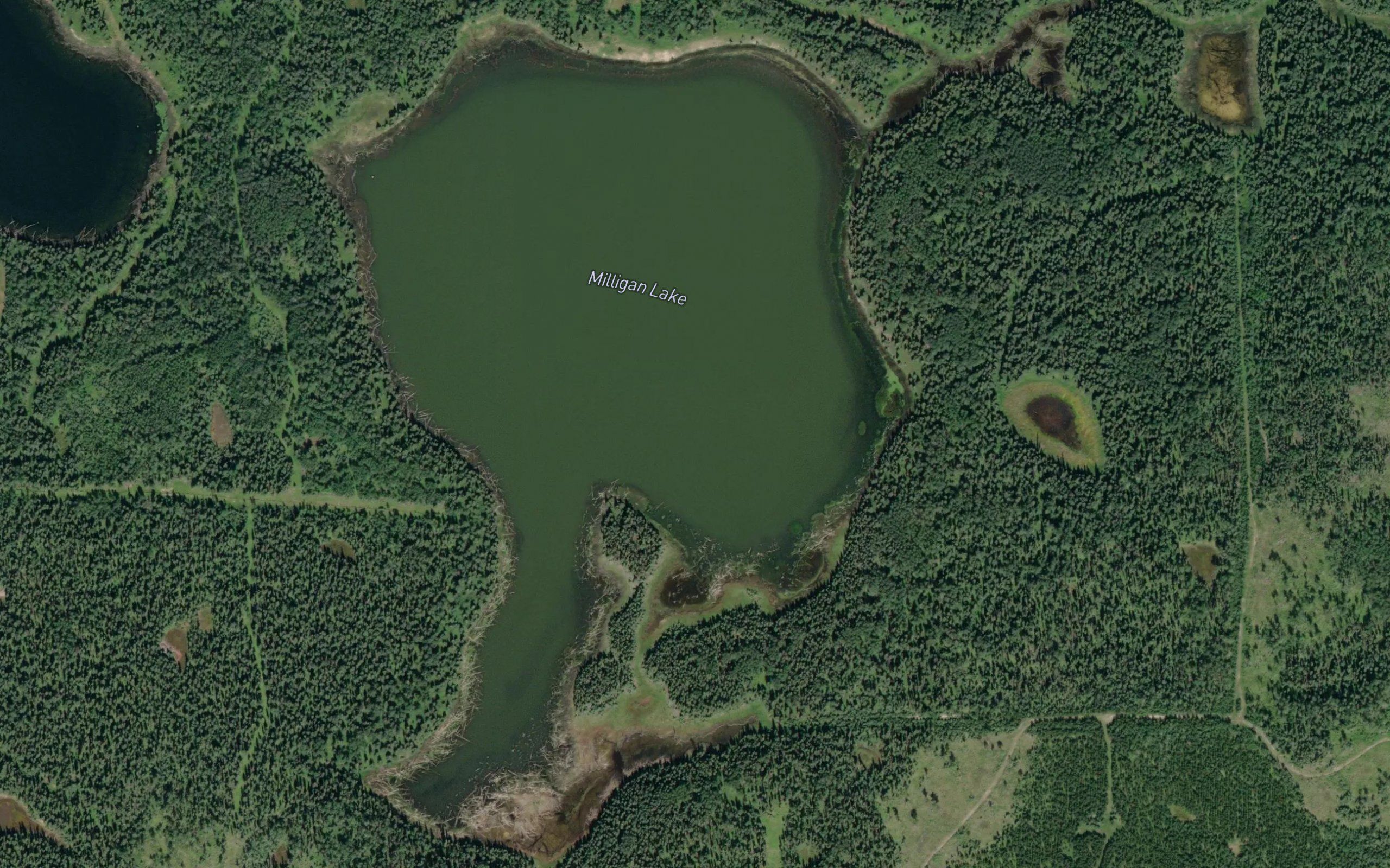 Milligan Lake