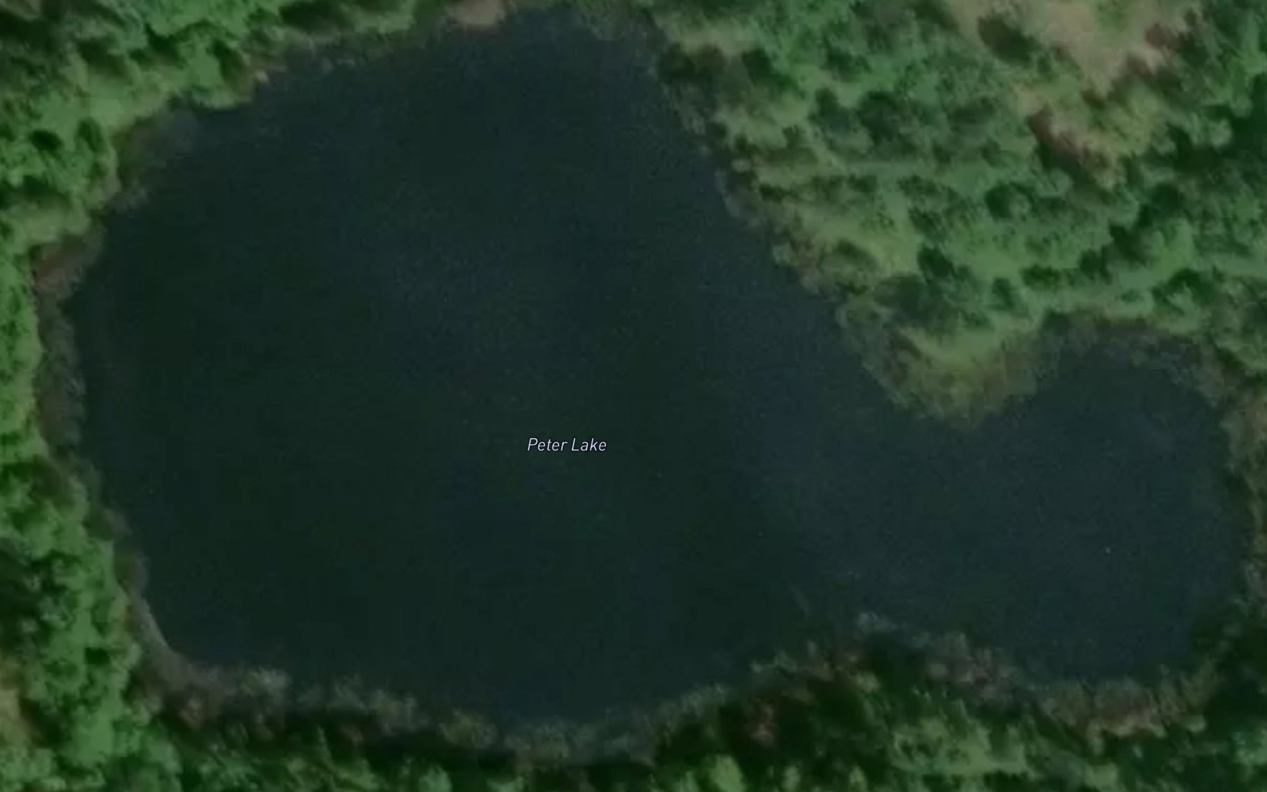 Satellite map of the Peter Lake