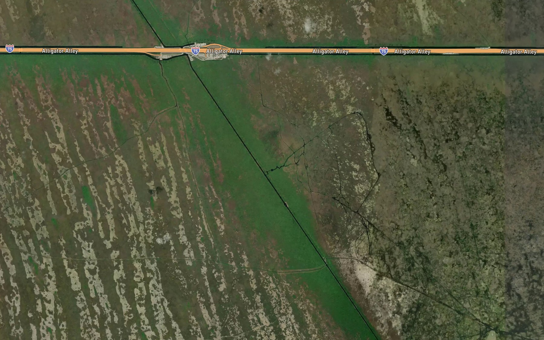 Satellite map of the Gator Lake