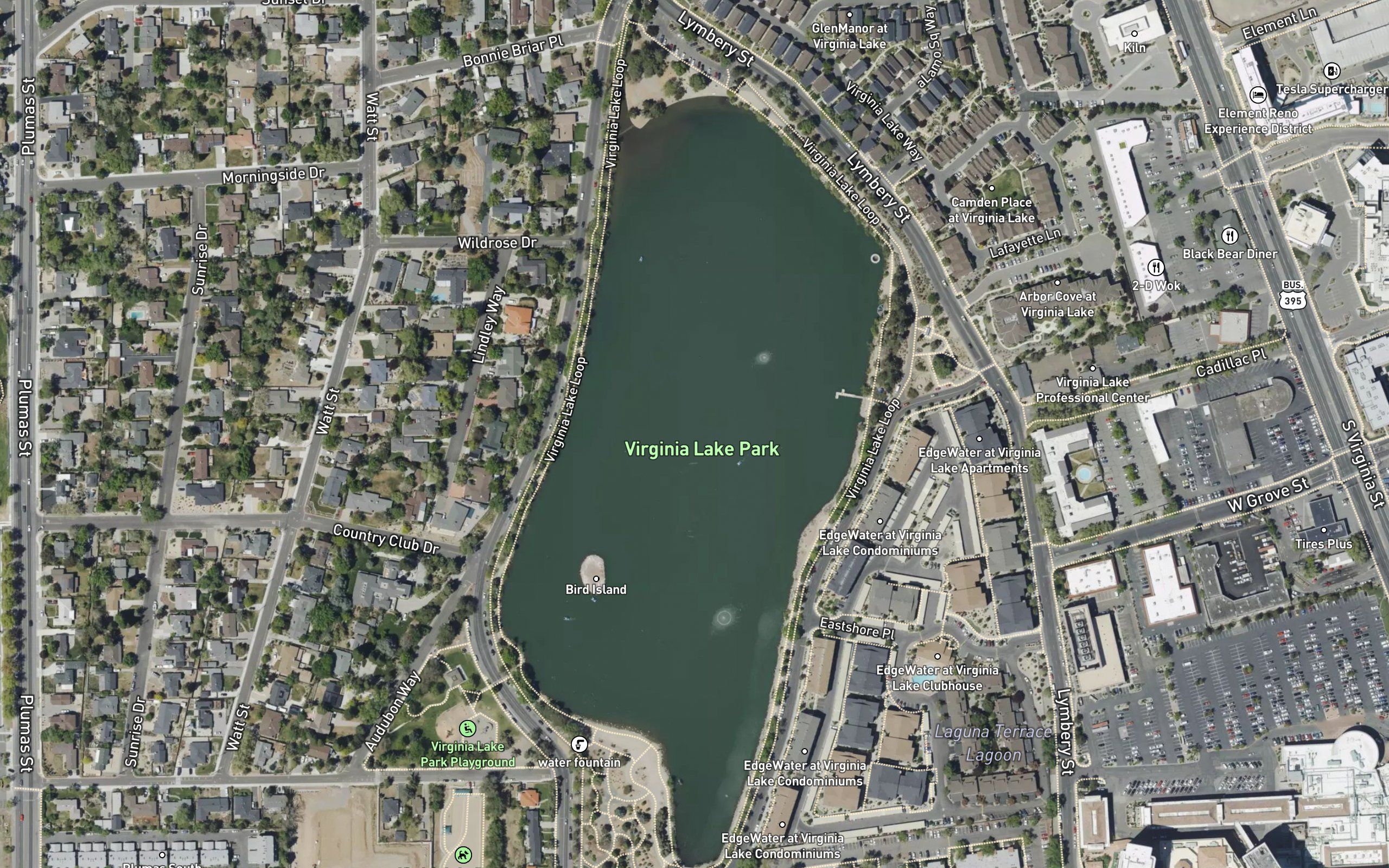 Virginia Lake