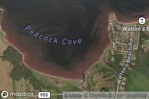Peacock Cove