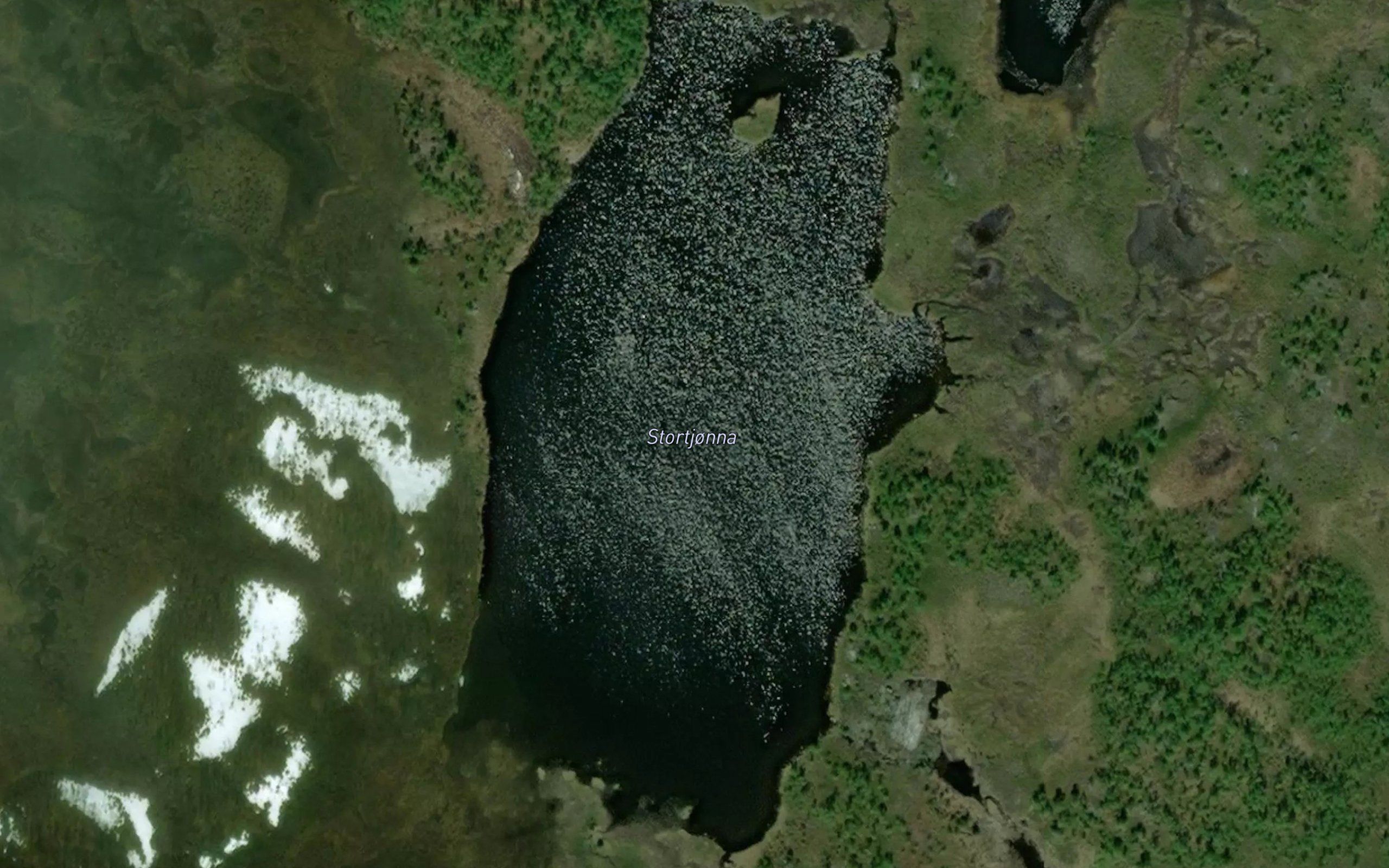 Stortjorna