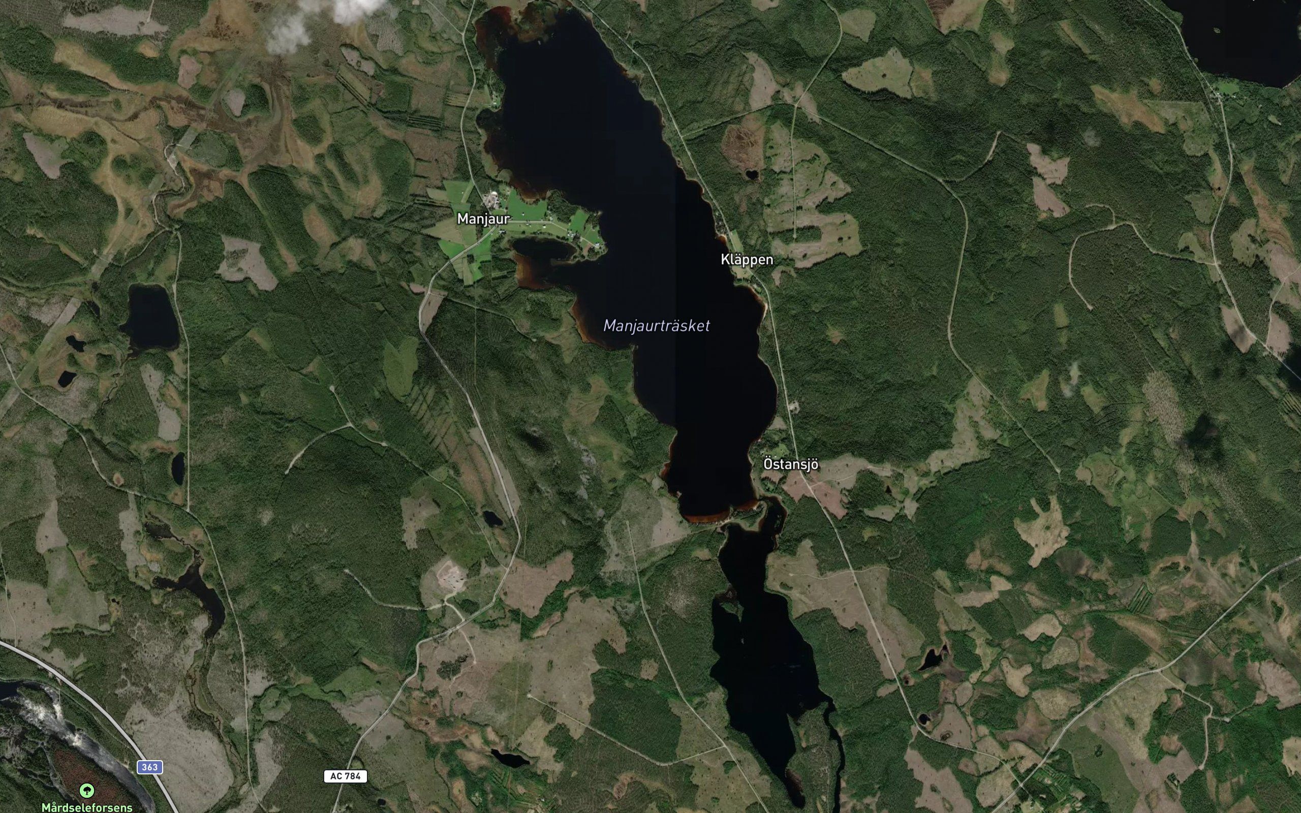 Manjaurtrasket