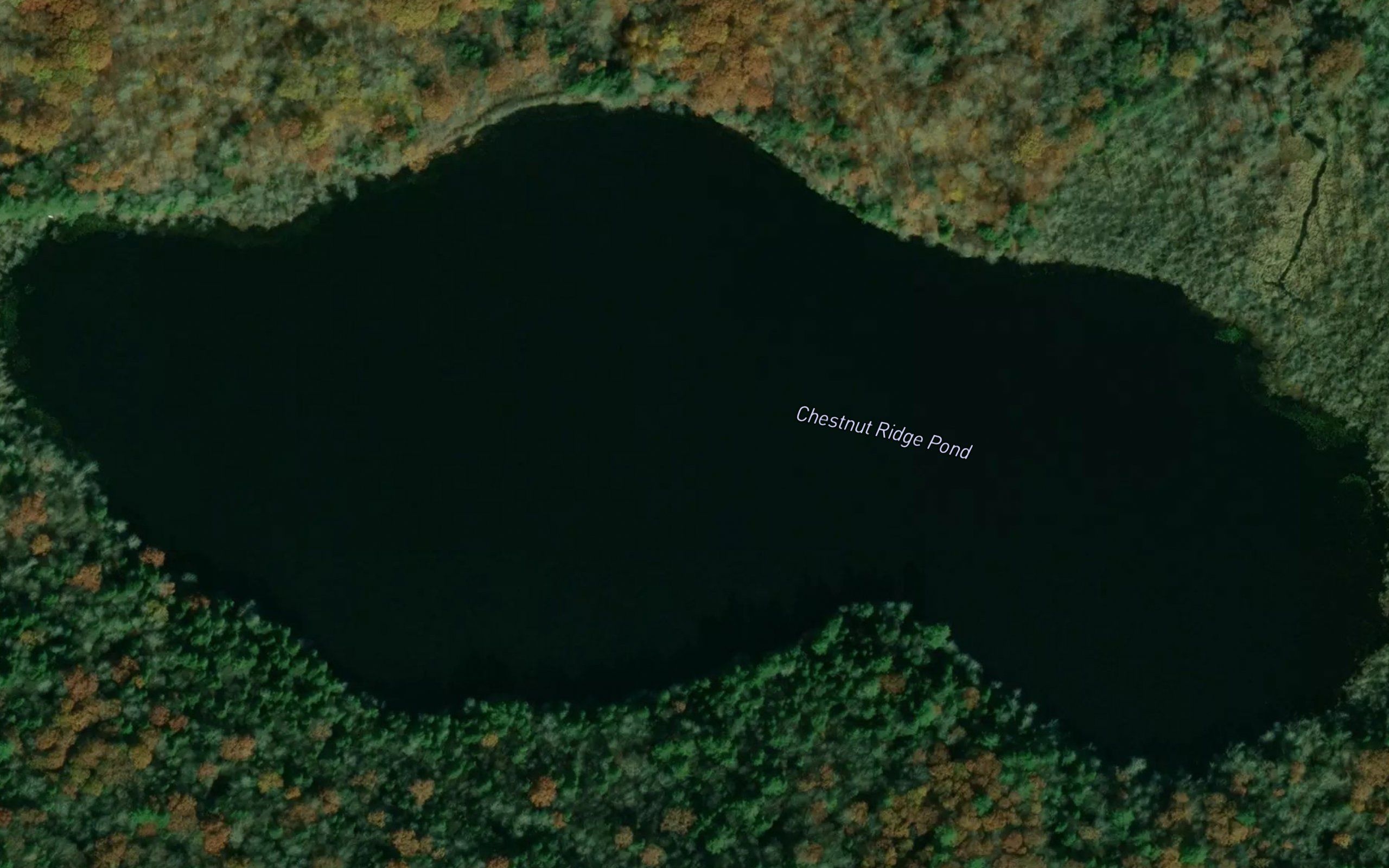 Chestnut Ridge Pond