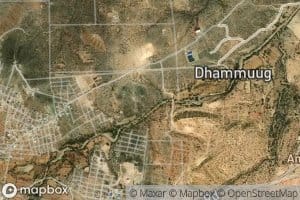 Dhamuug