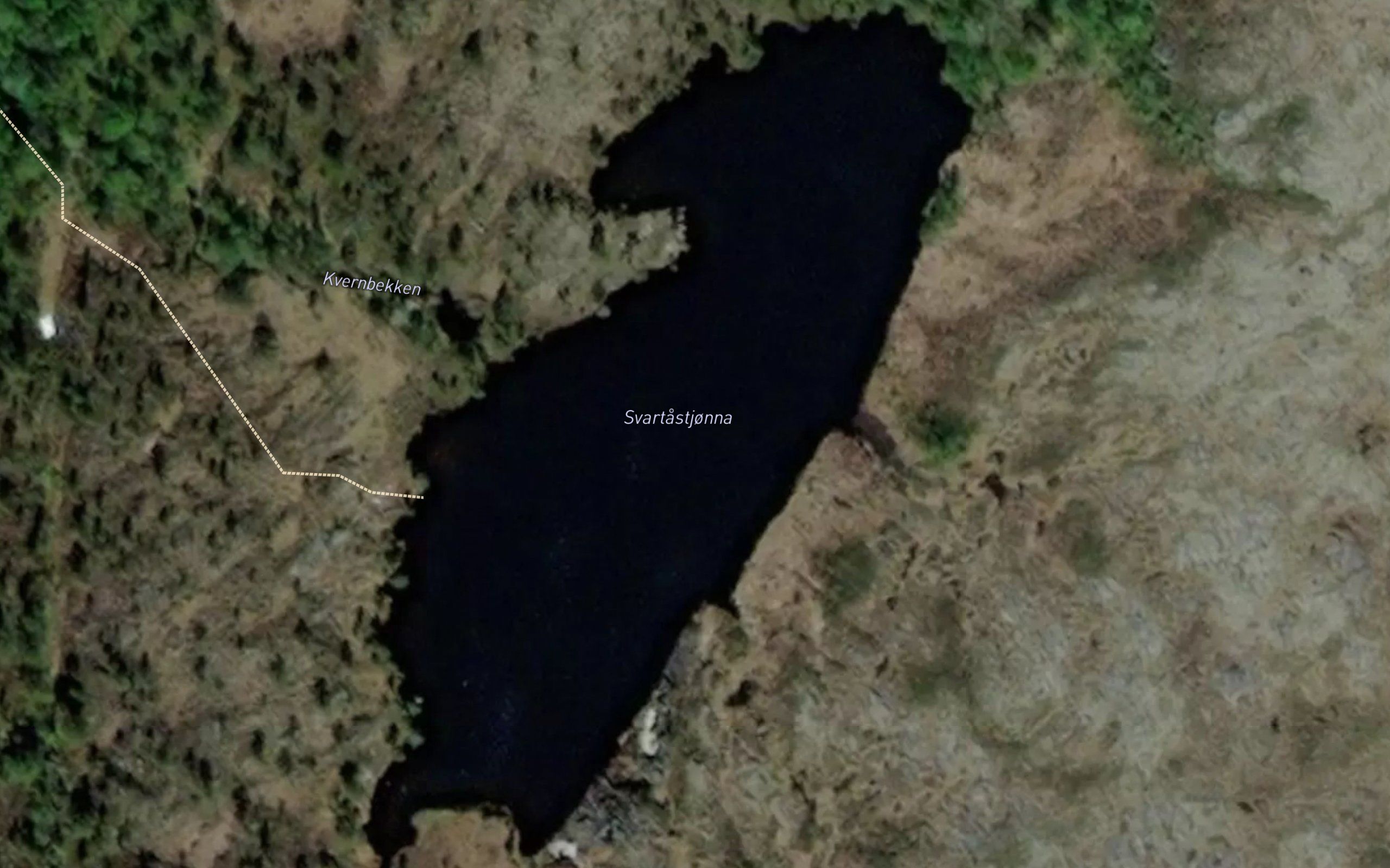 Svartastjonna