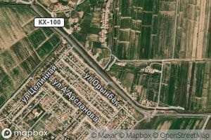 Kollektor Nomer Dvatsat' Tri