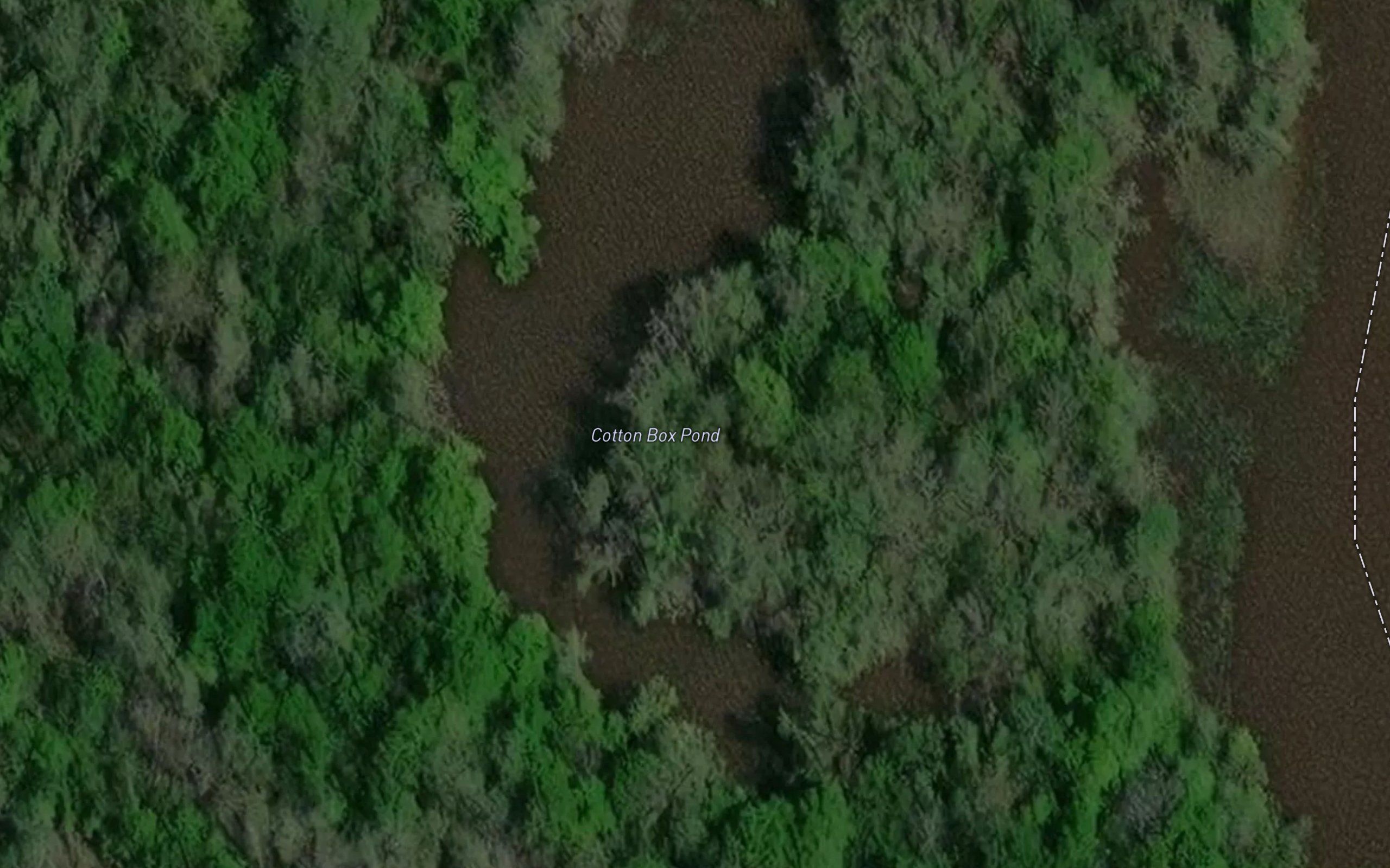 Cotton Box Pond