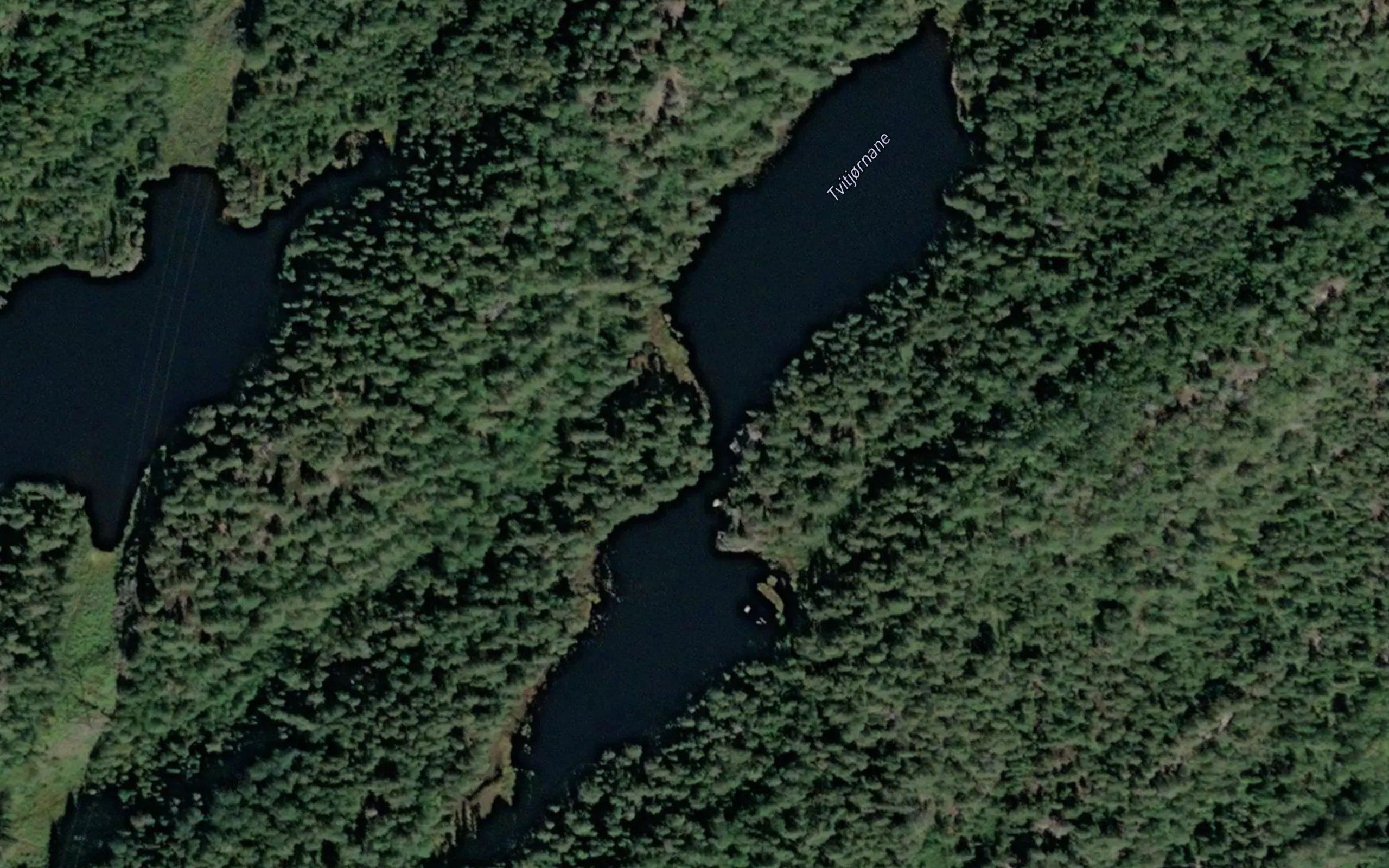 Tvitjornane