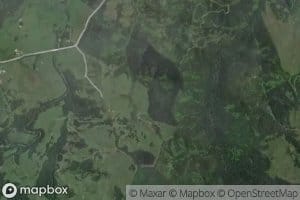 Ngautorotoro Stream