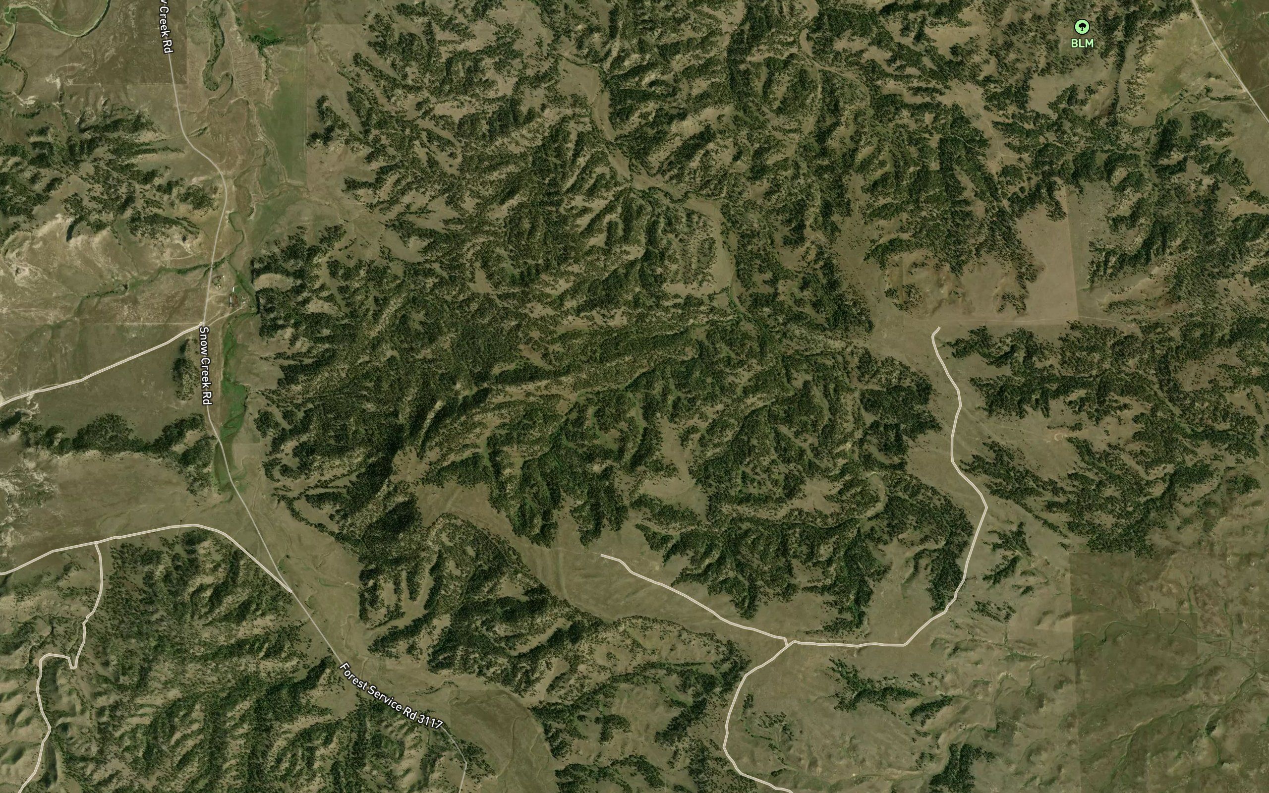 Wood Gulch Spring