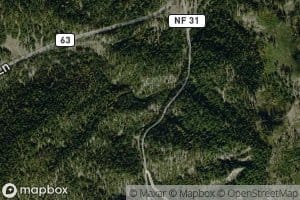 Little Snowshoe Creek