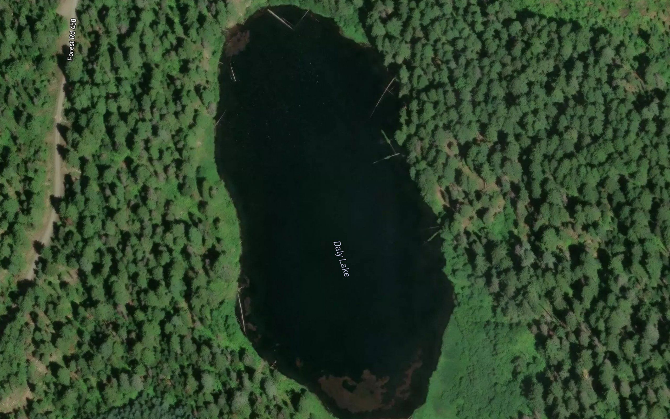 Daly Lake