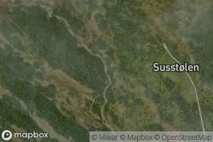 Susstolelve