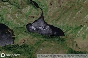 Elgtjorna