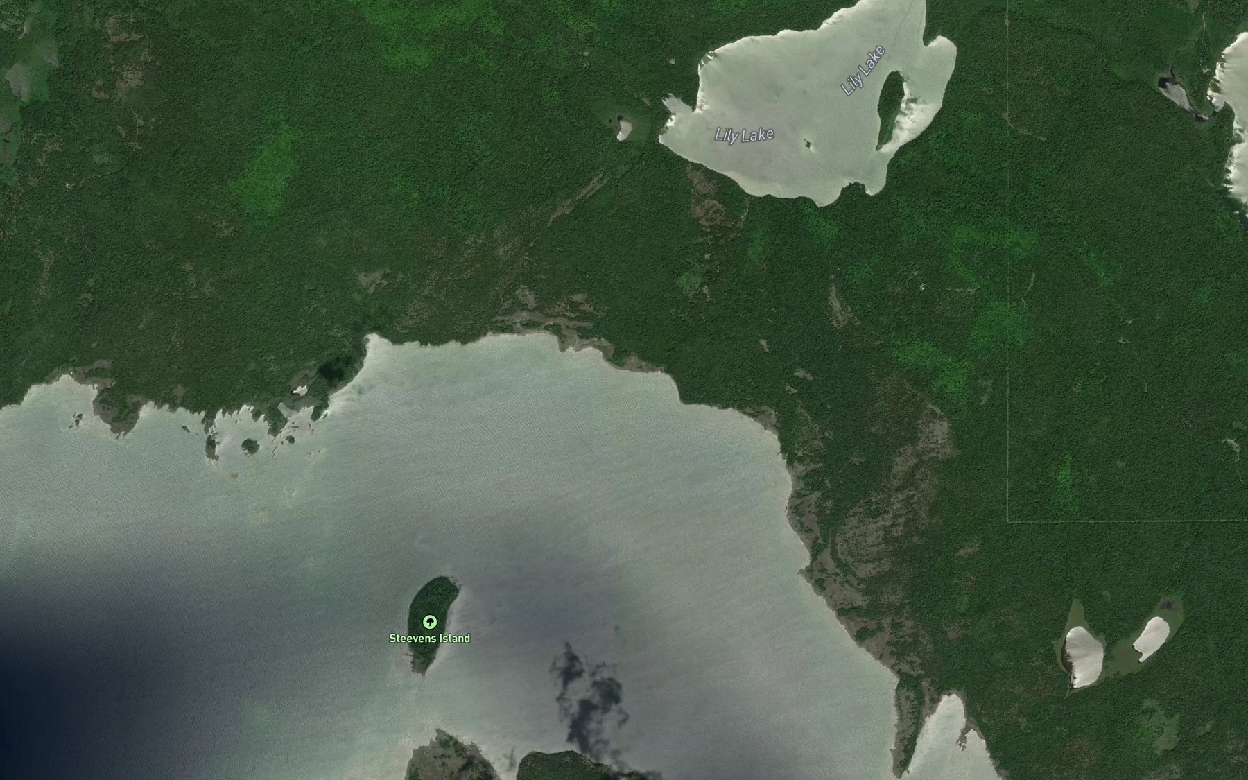 Satellite map of the Quarry Bay