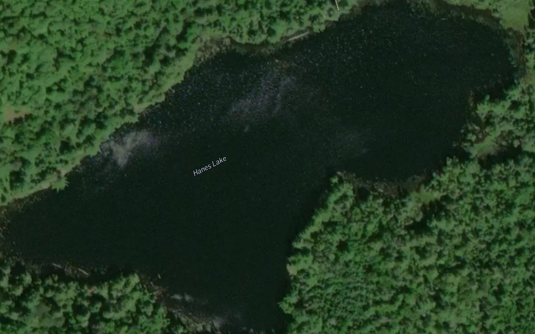 Satellite map of the Hanes Lake