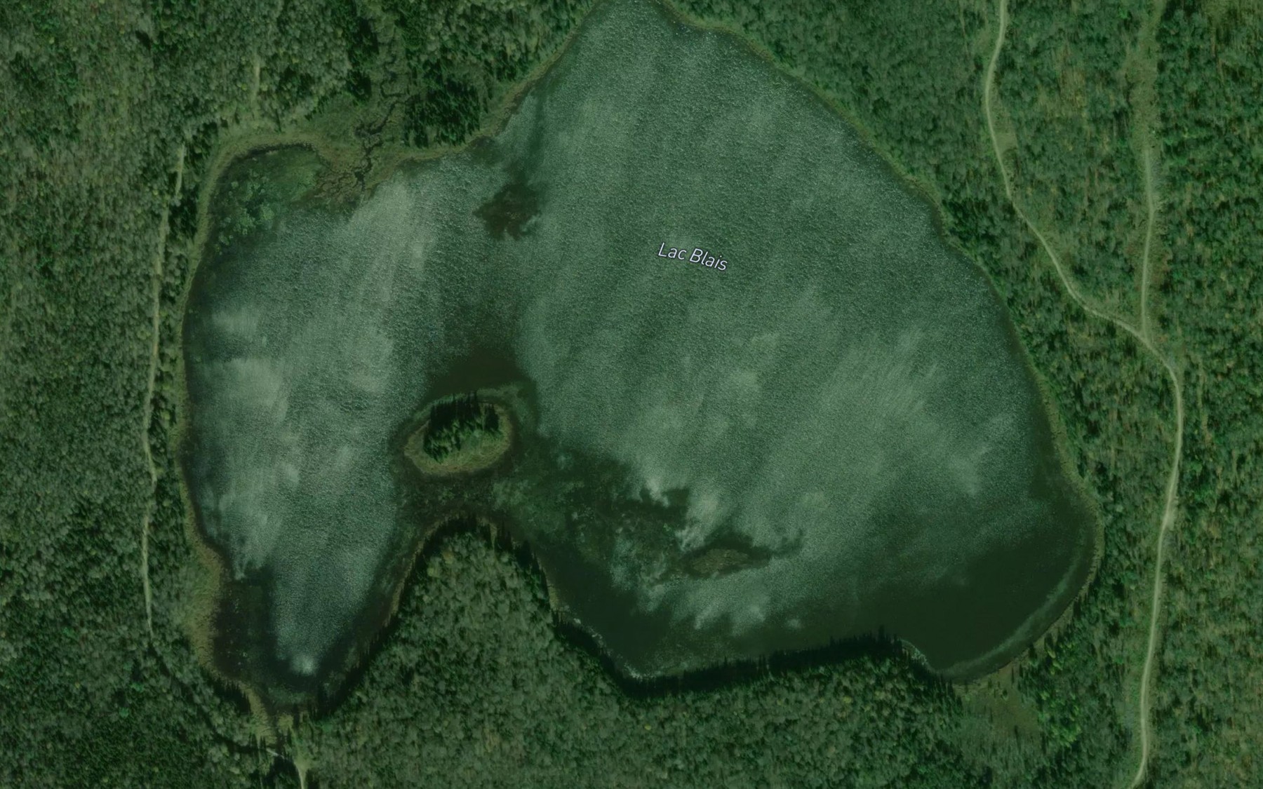 Satellite map of the Lac Blais