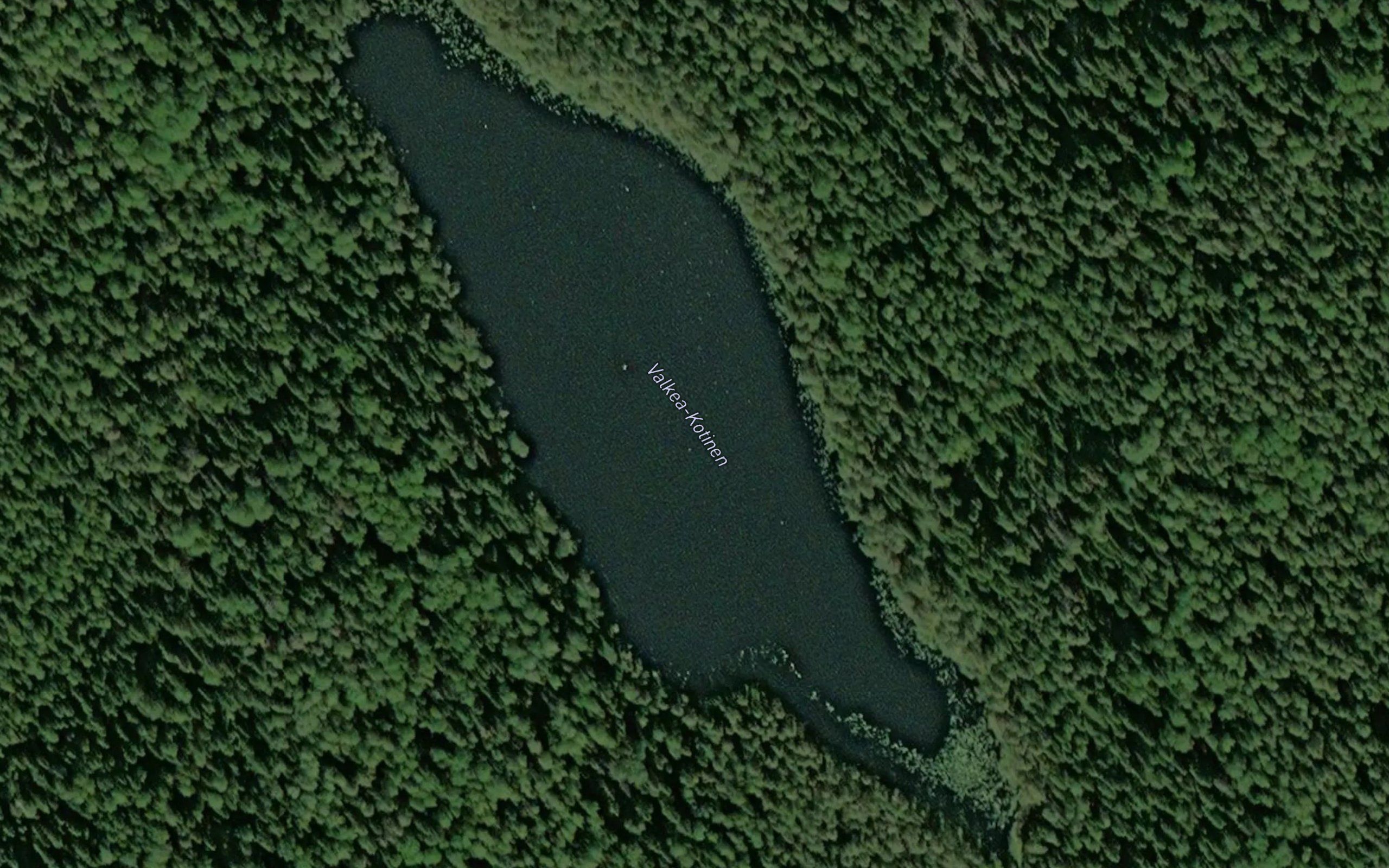 Valkea-Kotinen