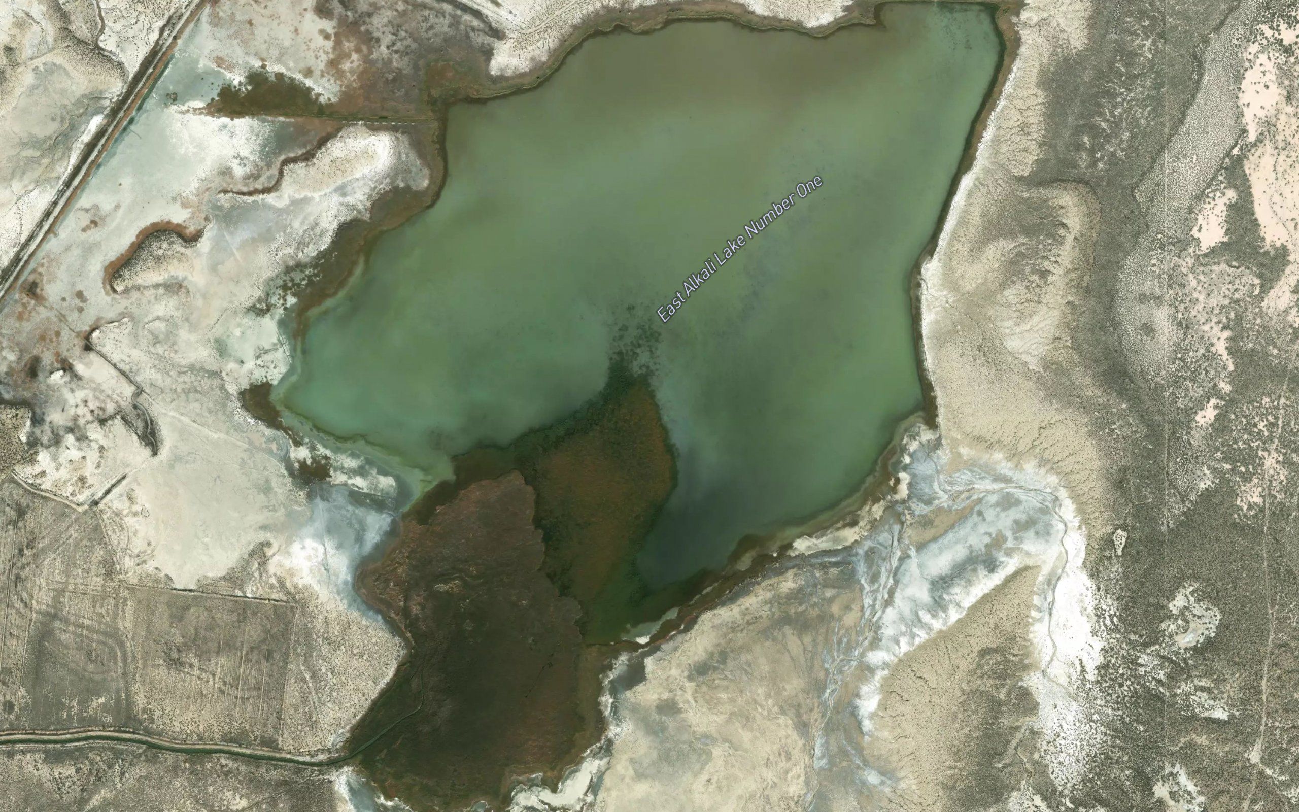 East Alkali Lake Number One