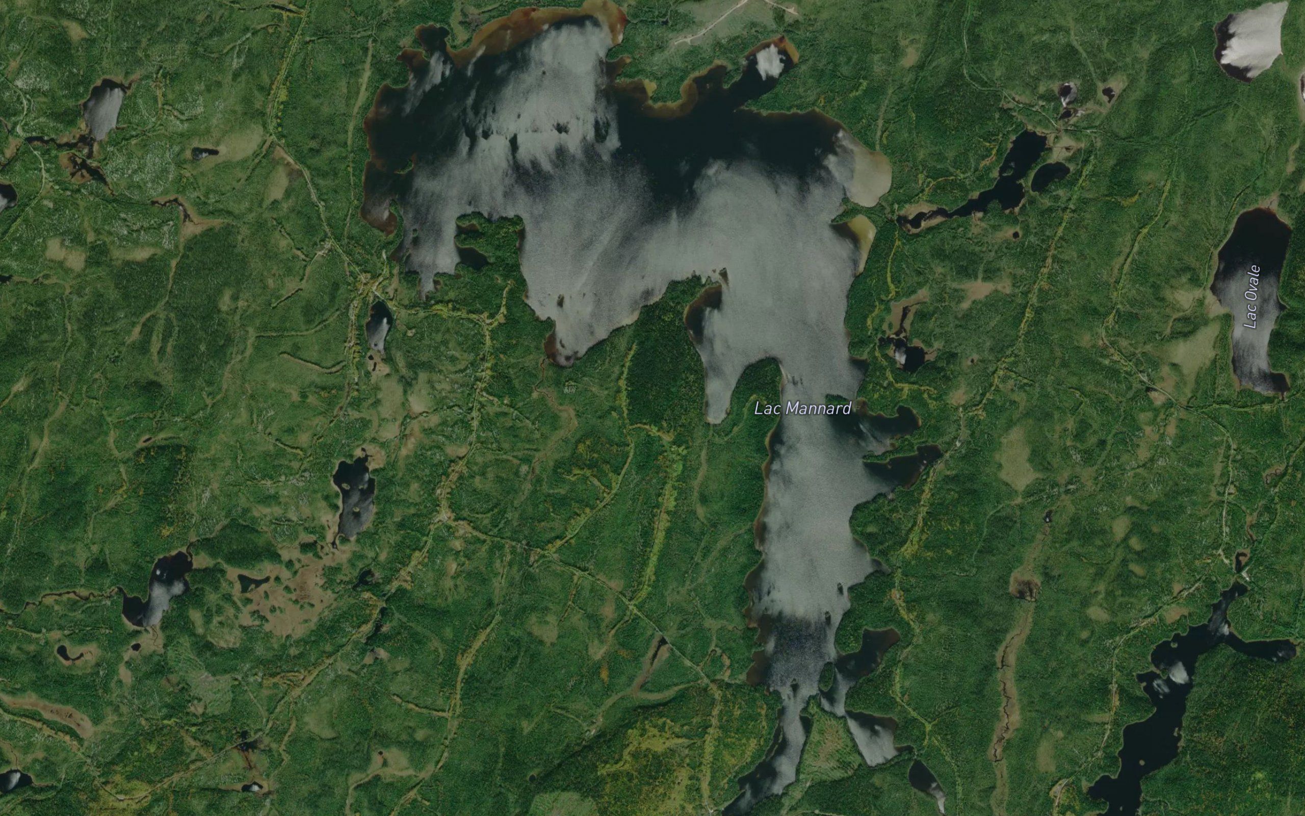 Lac Mannard