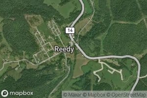 Left Fork Reedy Creek