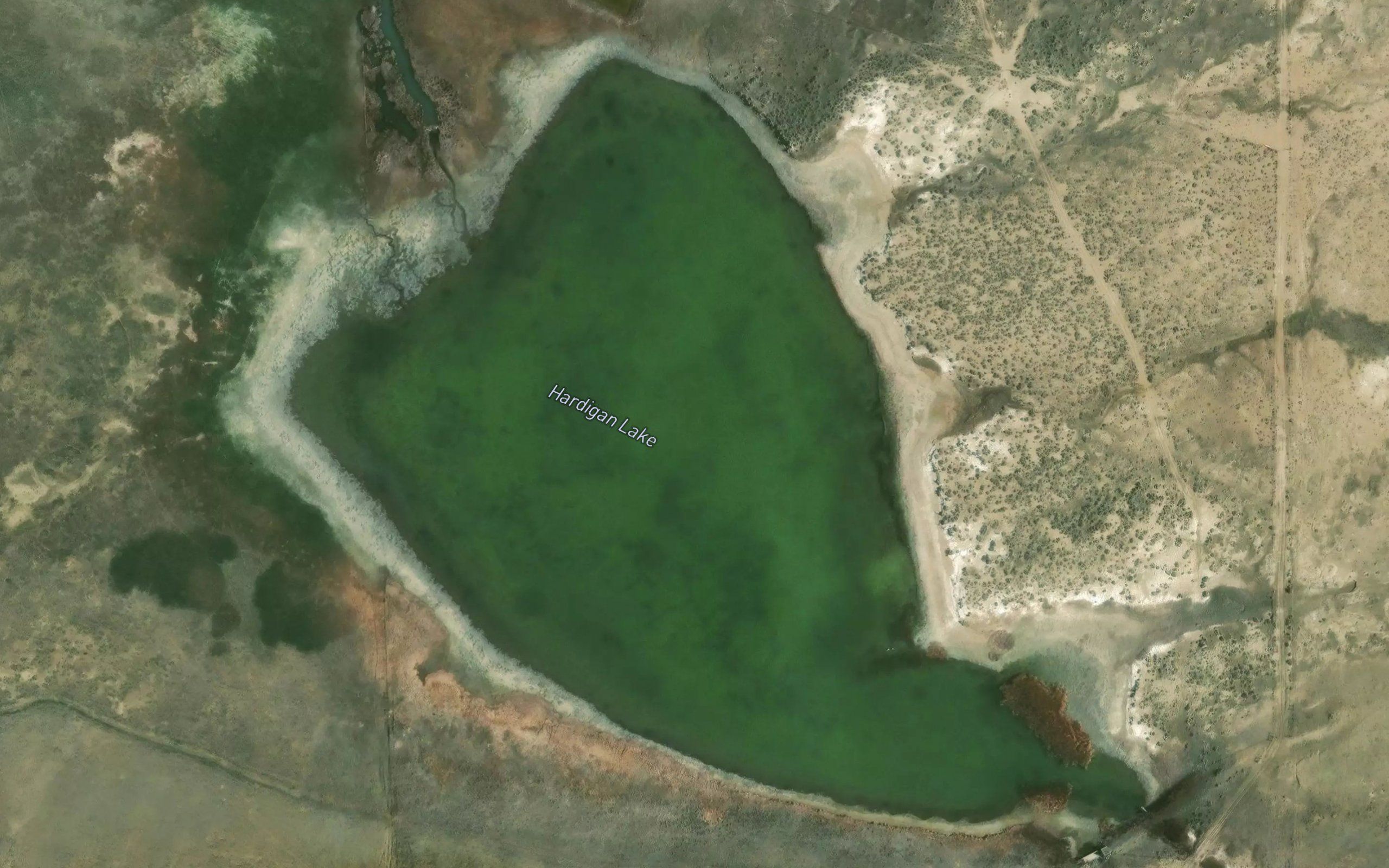 Hardigan Lake