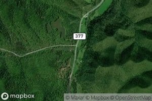 Stamm Fork